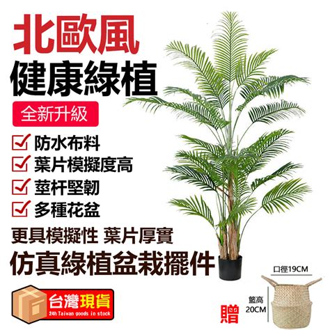 假植栽|仿真植物栽盆/擺飾 